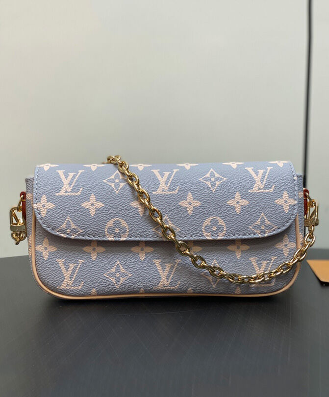 Louis Vuitton Wallet on Chain Ivy M12778 Gray